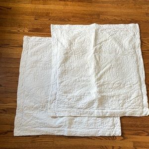 POTTERY BARN Euro Shams (set of 2)